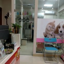 洪星1998寵物店詳細(xì)信息 電話(huà)、地址、價(jià)格、營(yíng)業(yè)時(shí)間及圖片