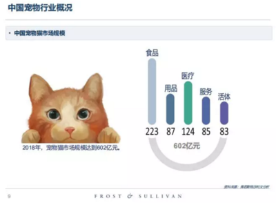 高收入、高學(xué)歷的單身人群，養(yǎng)寵前請(qǐng)先算清這筆賬