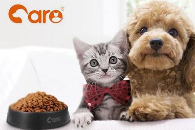 好主人寵物糧 科學(xué)配方，為愛(ài)寵提供全面營(yíng)養(yǎng)與專(zhuān)業(yè)寵物服務(wù)